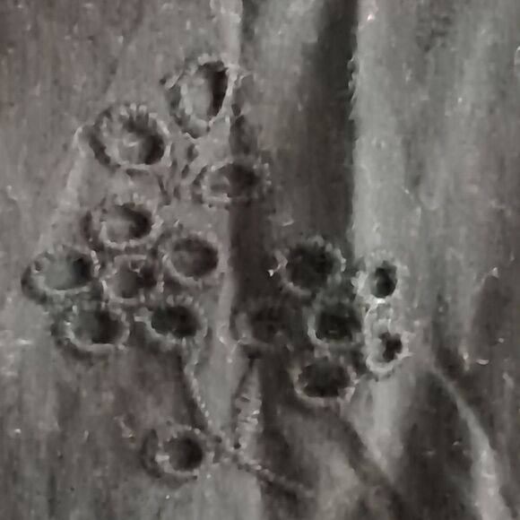 Jcrew not Factory Black cotton Button-front black eyelet peasant Lined Blouse S - Picture 4 of 7